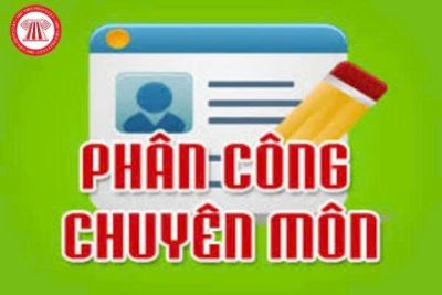 Phân công chuyên môn năm học 2025-2026
